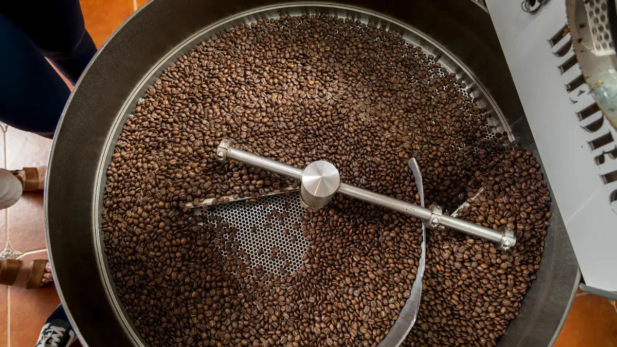 Light, Medium, or Dark Roast: Which One Is Right for You?
