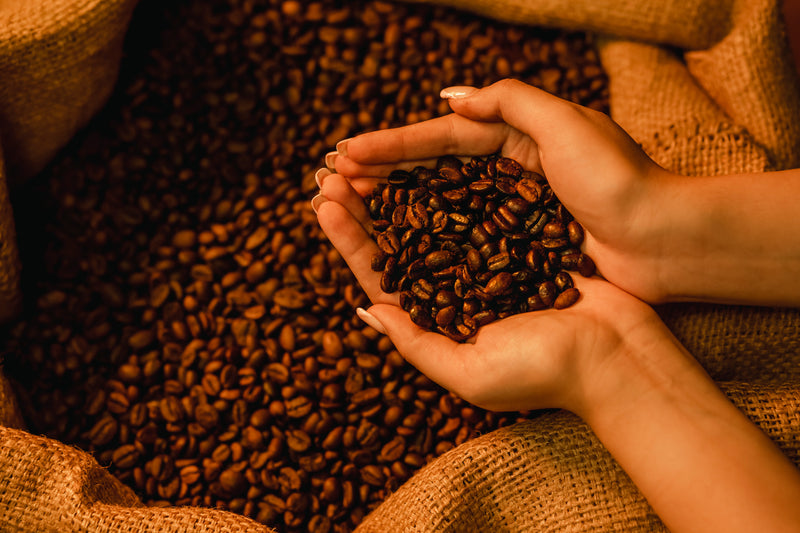 How to Brew the Perfect Cold Coffee Using South Indian Beans This Spring