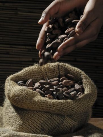 roasted coffee beans in a sack
