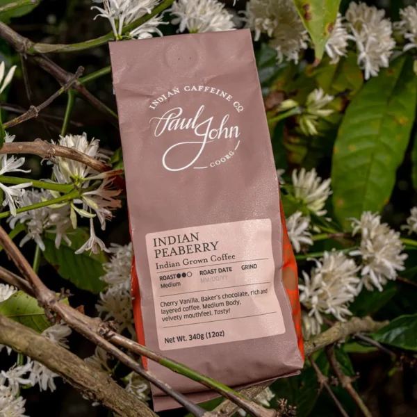INDIAN PEABERRY - Image 4