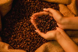 South indian coffee beans